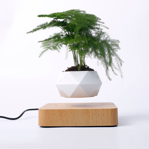 Pote Flutuante De Ar Em Vaso Levitação Para Planta Bonsai Decoração Interior