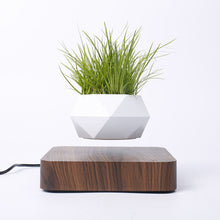 Carregar imagem no visualizador da galeria, Pote Flutuante De Ar Em Vaso Levitação Para Planta Bonsai Decoração Interior