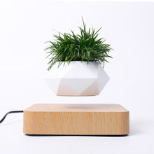 Carregar imagem no visualizador da galeria, Pote Flutuante De Ar Em Vaso Levitação Para Planta Bonsai Decoração Interior