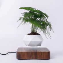 Carregar imagem no visualizador da galeria, Pote Flutuante De Ar Em Vaso Levitação Para Planta Bonsai Decoração Interior