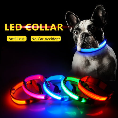 Coleira de Cachorro LED Anti-Perdida / Evitar Acidente de Carro Para Cães Filhotes Carregamento USB