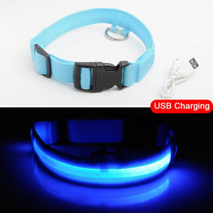 Coleira de Cachorro LED Anti-Perdida / Evitar Acidente de Carro Para Cães Filhotes Carregamento USB