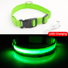 Carregar imagem no visualizador da galeria, Coleira de Cachorro LED Anti-Perdida / Evitar Acidente de Carro Para Cães Filhotes Carregamento USB