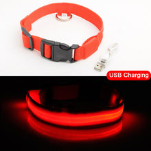 Carregar imagem no visualizador da galeria, Coleira de Cachorro LED Anti-Perdida / Evitar Acidente de Carro Para Cães Filhotes Carregamento USB