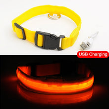 Carregar imagem no visualizador da galeria, Coleira de Cachorro LED Anti-Perdida / Evitar Acidente de Carro Para Cães Filhotes Carregamento USB