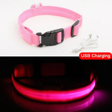 Carregar imagem no visualizador da galeria, Coleira de Cachorro LED Anti-Perdida / Evitar Acidente de Carro Para Cães Filhotes Carregamento USB