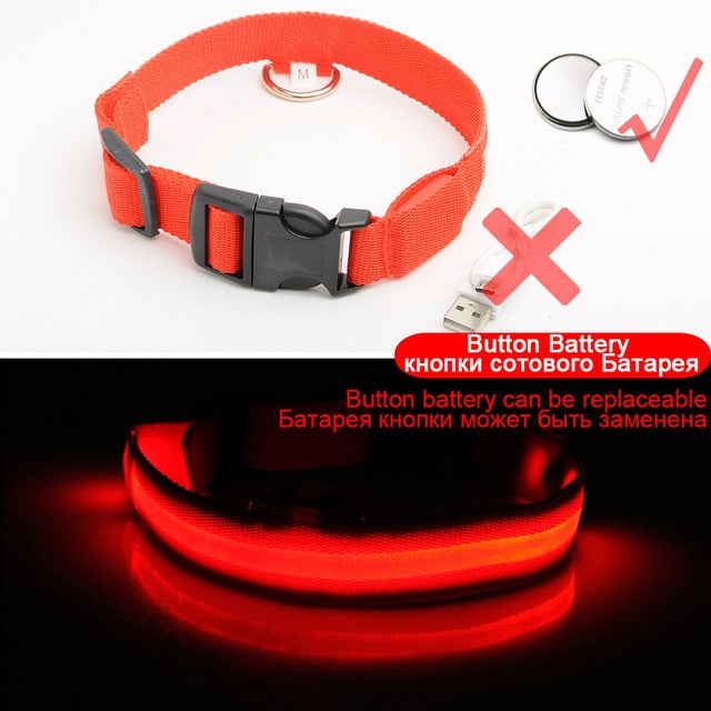 Coleira de Cachorro LED Anti-Perdida / Evitar Acidente de Carro Para Cães Filhotes Carregamento USB