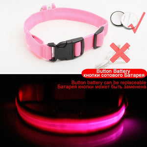 Coleira de Cachorro LED Anti-Perdida / Evitar Acidente de Carro Para Cães Filhotes Carregamento USB
